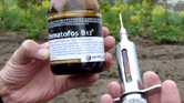 Hematofos B12